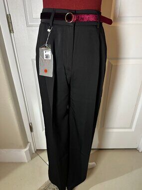 FUNYYZO Black High-Waisted Wide-Leg Pleated Dress Pants | Size XS (NWT)